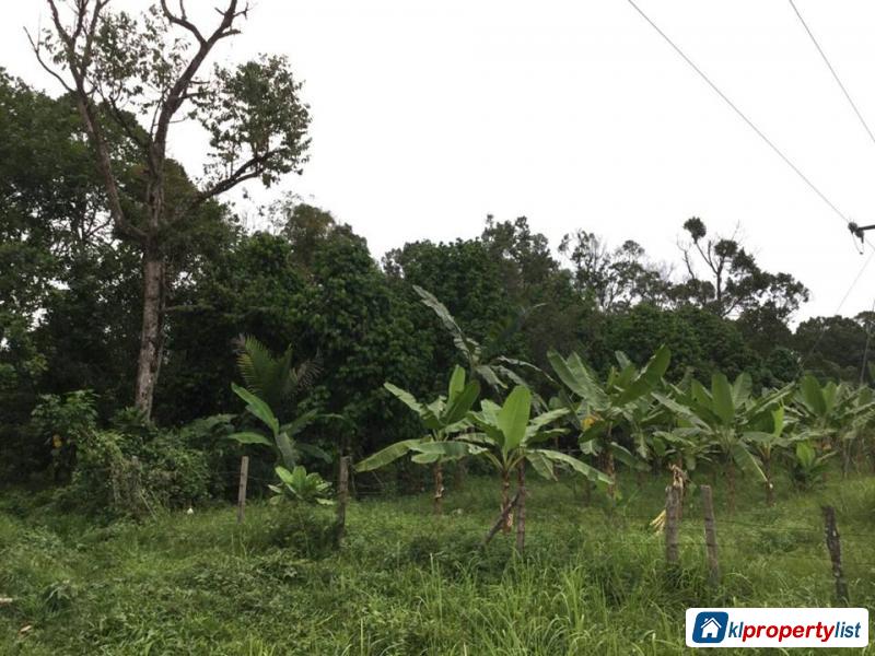 Agricultural Land for sale in Selinsing in Perak