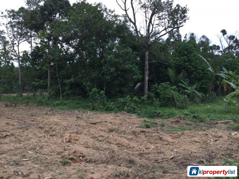 Agricultural Land for sale in Selinsing in Malaysia