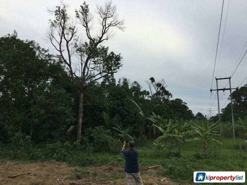 Picture of Agricultural Land for sale in Selinsing in Perak