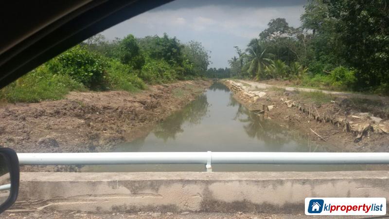 Pictures of Agricultural Land for sale in Johor Bahru