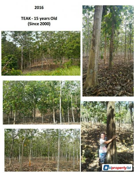 Agricultural Land for sale in Johor Bahru - image 1
