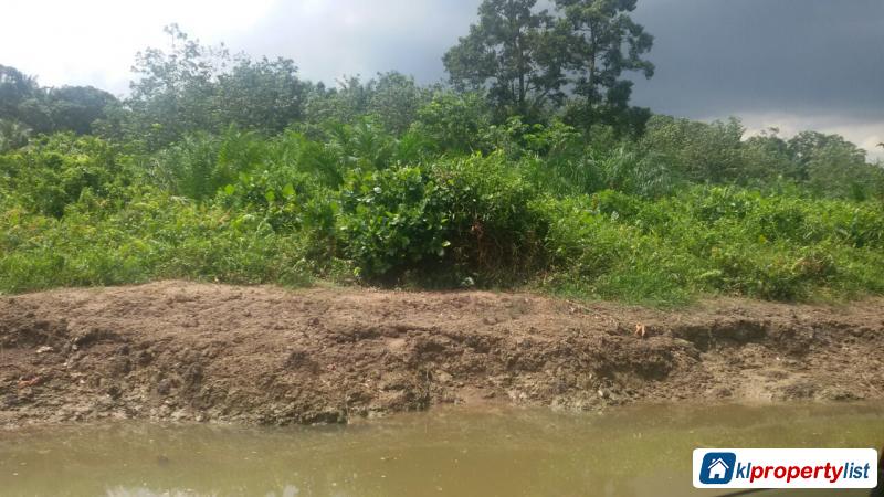 Agricultural Land for sale in Johor Bahru - image 2