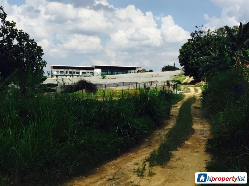 Agricultural Land for sale in Johor Bahru - image 3