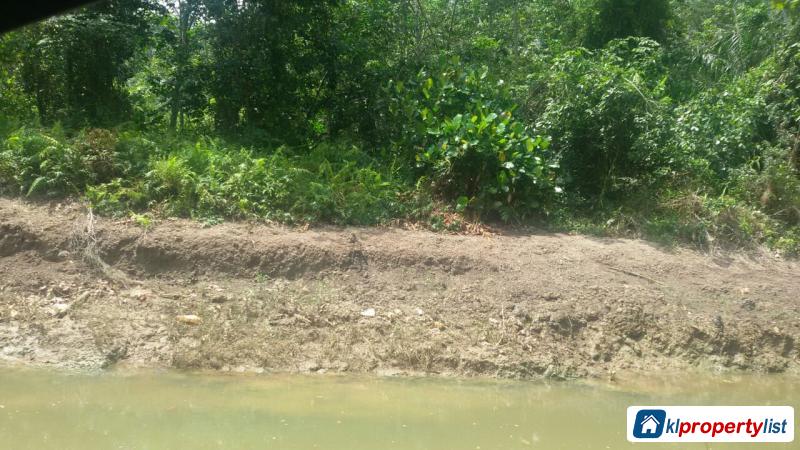 Agricultural Land for sale in Johor Bahru - image 3
