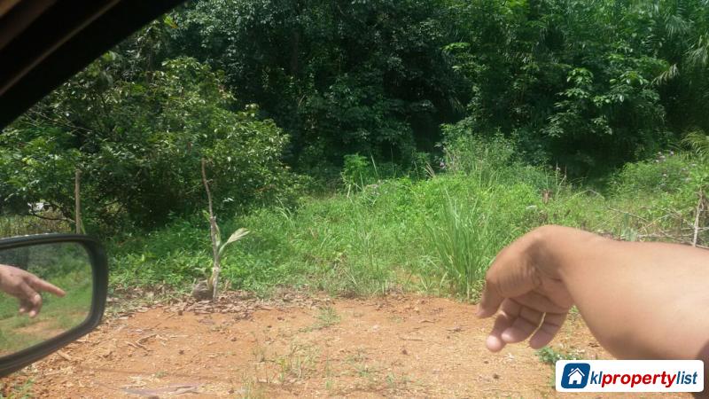 Agricultural Land for sale in Johor Bahru - image 4