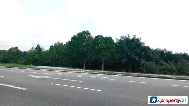 Pictures of Agricultural Land for sale in Muar
