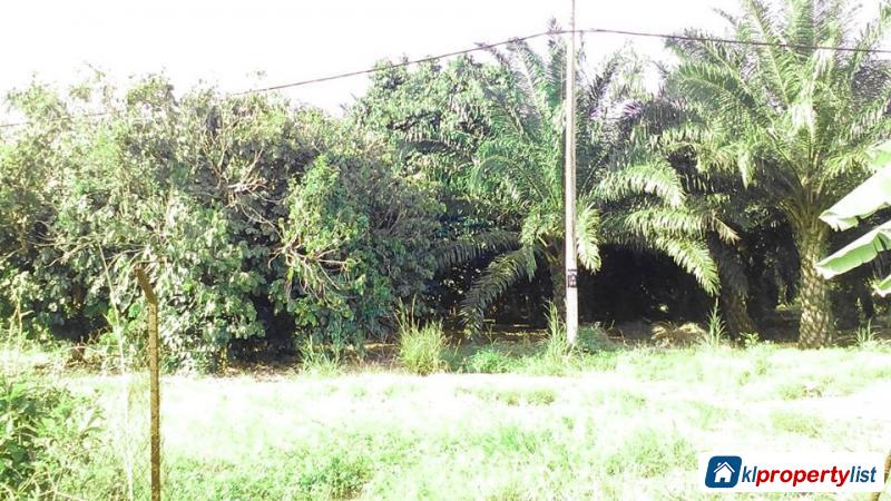 Pictures of Agricultural Land for sale in Muar