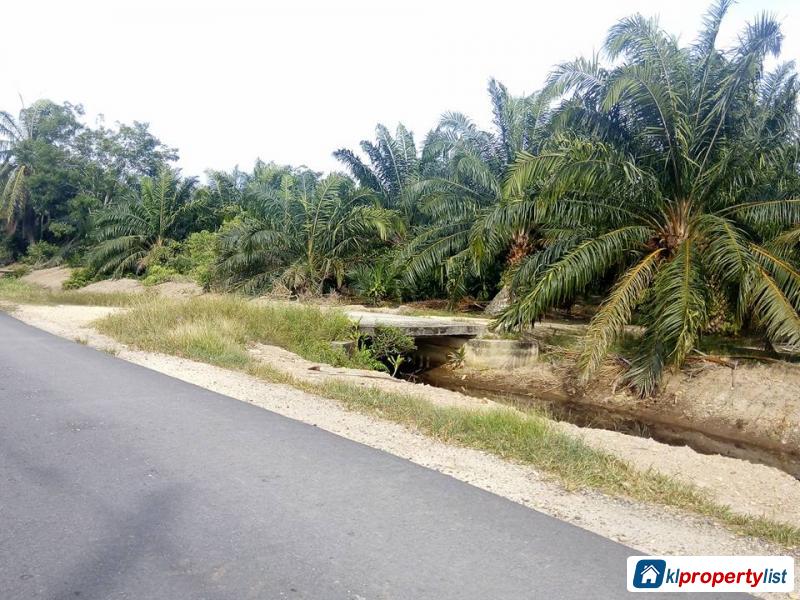 Pictures of Agricultural Land for sale in Muar