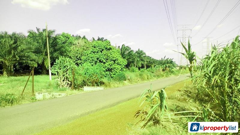 Agricultural Land for sale in Muar - image 2
