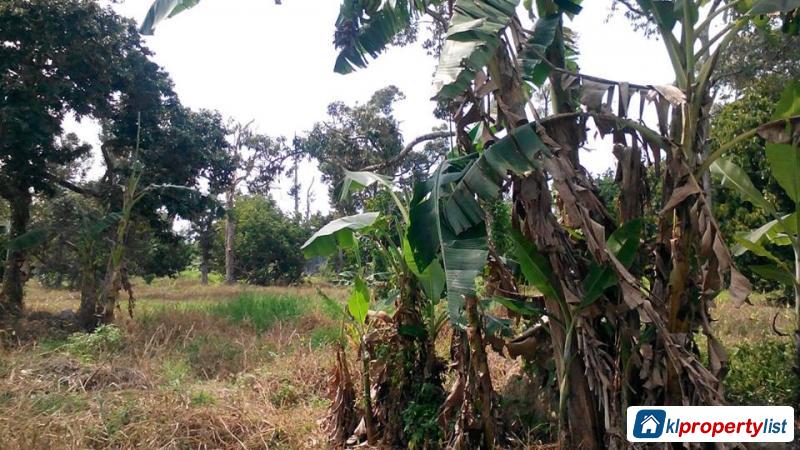 Agricultural Land for sale in Muar - image 2