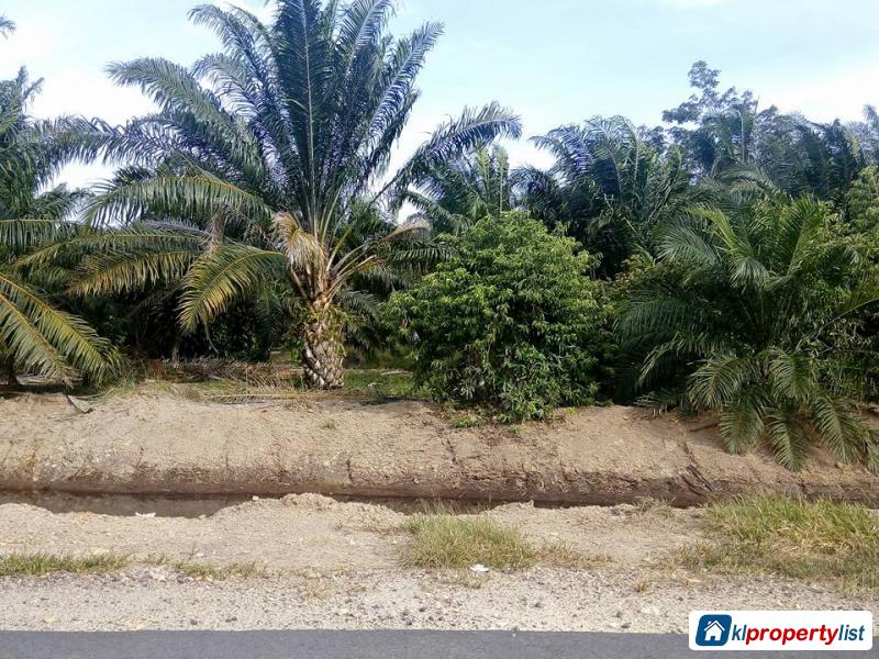 Agricultural Land for sale in Muar - image 2