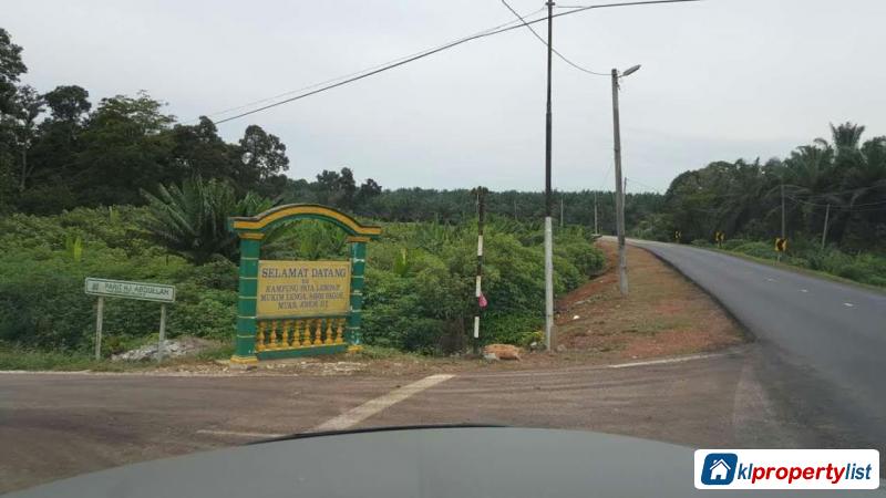 Agricultural Land for sale in Muar - image 2