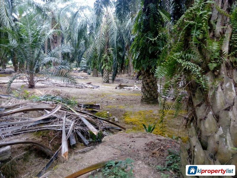 Agricultural Land for sale in Muar - image 2