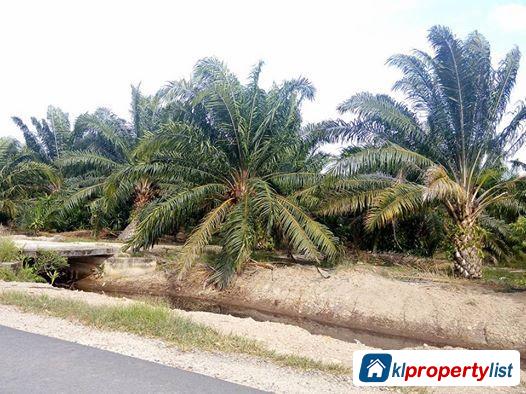 Agricultural Land for sale in Muar - image 3