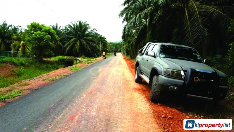 Agricultural Land for sale in Muar - image 3