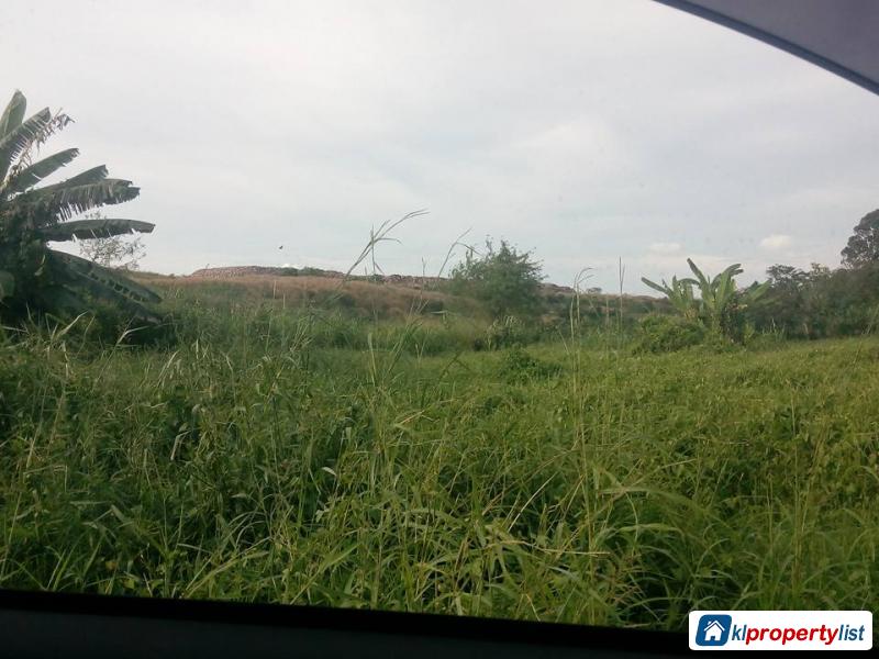 Agricultural Land for sale in Muar in Johor