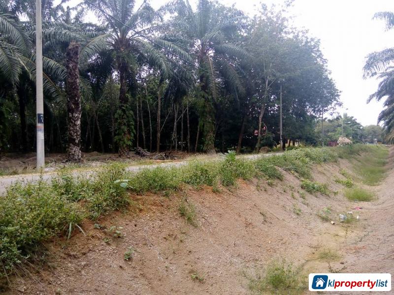 Agricultural Land for sale in Muar - image 4