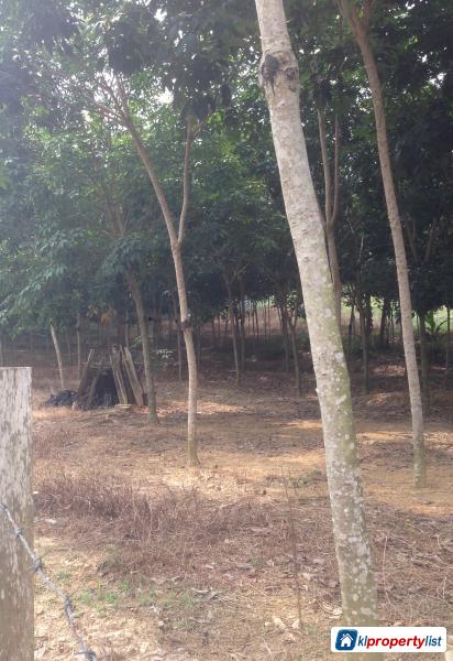 Agricultural Land for sale in Seremban - image 3