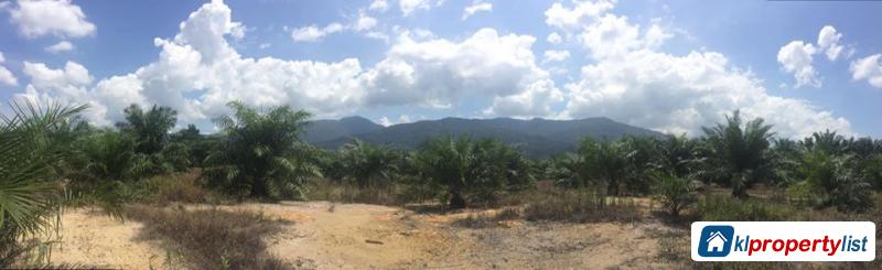 Pictures of Agricultural Land for sale in Ipoh