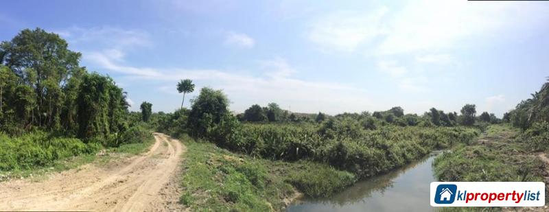 Picture of Agricultural Land for sale in Ipoh
