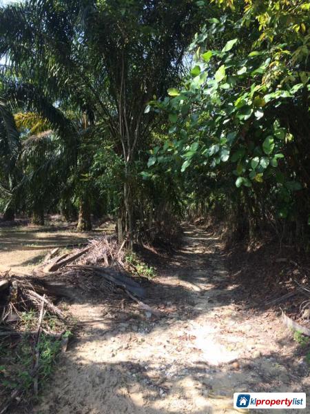 Agricultural Land for sale in Ipoh - image 2
