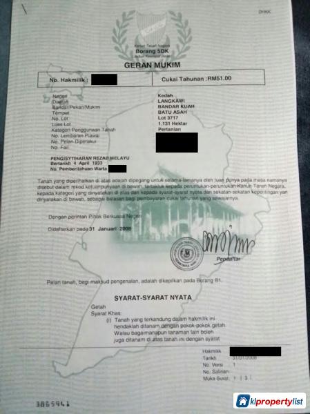 Agricultural Land for sale in City Centre - image 2