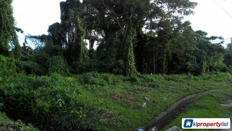 Agricultural Land for sale in Selinsing - image 2