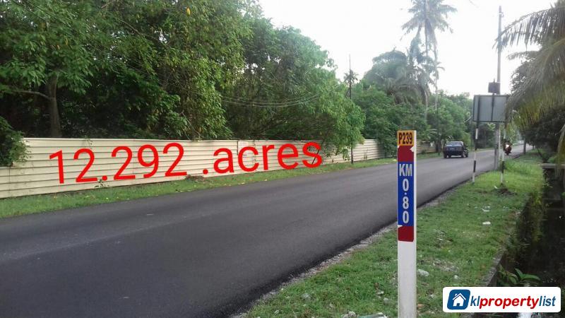 Agricultural Land for sale in Georgetown - image 1