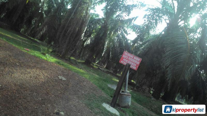 Agricultural Land for sale in Georgetown