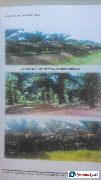 Agricultural Land for sale in Georgetown - image 2