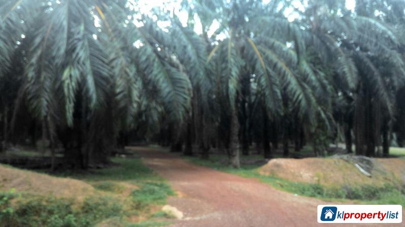 Agricultural Land for sale in Georgetown in Penang