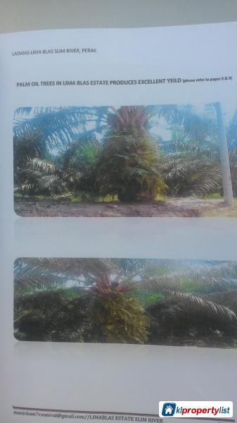 Agricultural Land for sale in Georgetown - image 4