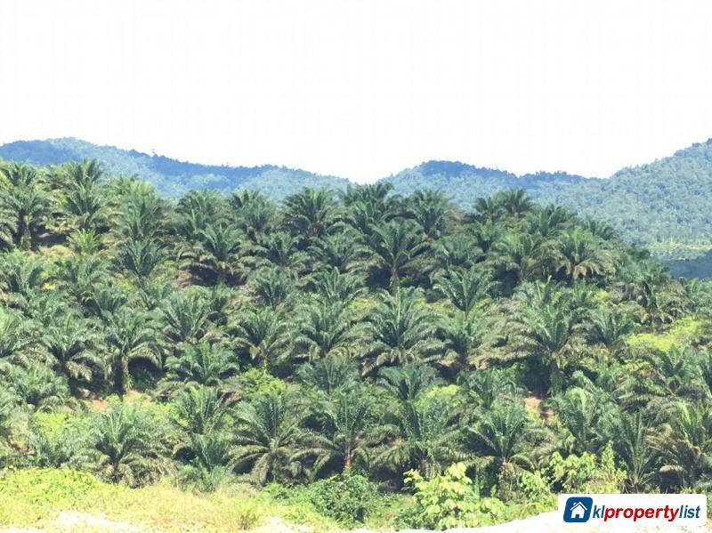 Agricultural Land for sale in Kota Kinabalu - image 2