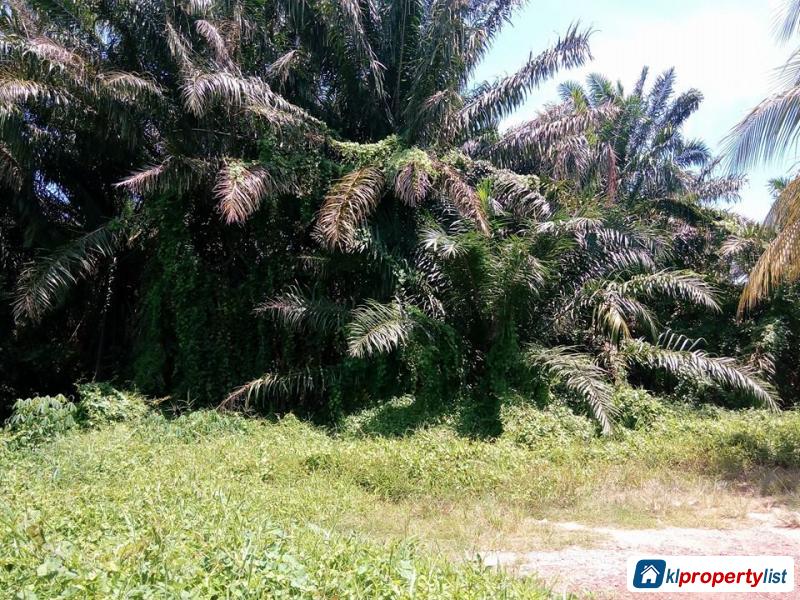 Pictures of Agricultural Land for sale in Muar