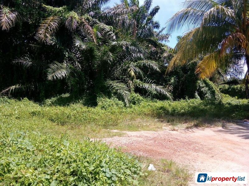 Agricultural Land for sale in Muar - image 2