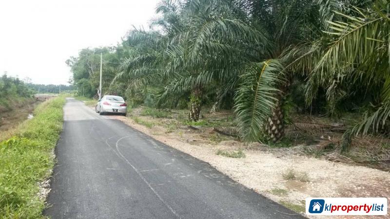 Agricultural Land for sale in Muar - image 4