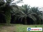 Agricultural Land for sale in Tanjung Malim
