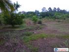 Agricultural Land for sale in Kuching