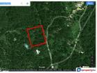 20 Acres Freehold Agricultural Oil Palm Land At Mukim Pantai, NS
