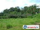 Agricultural Land for sale in Georgetown